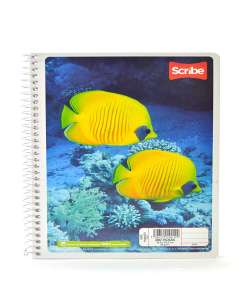 Cuaderno Scribe Frances ESP 100 1R 4540 Mega